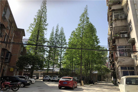 南湖大源·枫香小镇3室2厅2卫166万143m2出售